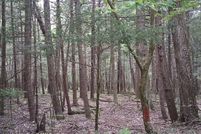 Land for sale in Monroe County, Pennsylvania