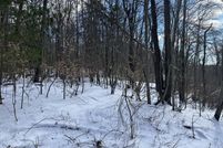 Undeveloped Land for sale in Monroe County, Pennsylvania
