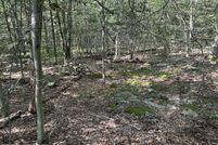 Timberland Property for sale in Monroe County, Pennsylvania
