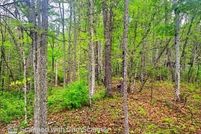 Land for sale in Monroe County, West Virginia
