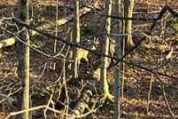 Land for sale in Monroe County, Pennsylvania