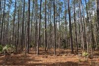 Land for sale in Gilchrist County, Florida
