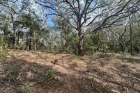 Land for sale in Gilchrist County, Florida