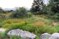 Farm and Ranch for sale in Gillespie County, Texas