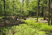 Homesite for sale in Wayne County, Pennsylvania