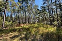 Farm and Ranch for sale in Madison County, Florida