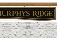 Undeveloped Land for sale in Granville County, North Carolina