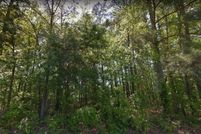 Undeveloped Land for sale in Johnston County, North Carolina