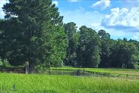 Farm and Ranch for sale in Johnston County, North Carolina