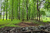 Land for sale in Durham County, North Carolina