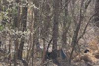 Land for sale in Person County, North Carolina