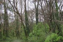 Undeveloped Land for sale in Randolph County, North Carolina