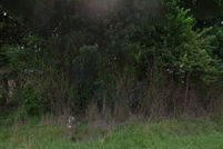 Land for sale in Johnston County, North Carolina