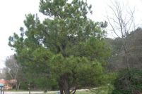 Land for sale in Wake County, North Carolina