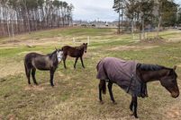 House for sale in Durham County, North Carolina