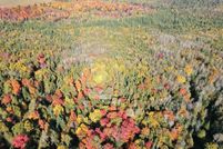 Land for sale in Aroostook County, Maine