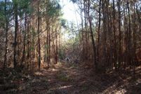 Land for sale in Warren County, North Carolina