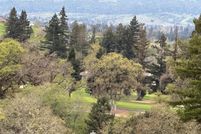 Homesite for sale in Napa County, California