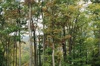 Undeveloped Land for sale in Blair County, Pennsylvania