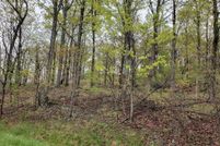Undeveloped Land for sale in Blair County, Pennsylvania