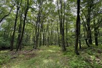 Undeveloped Land for sale in Bedford County, Pennsylvania