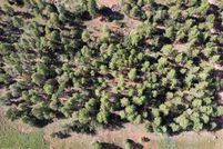Undeveloped Land for sale in Navajo County, Arizona