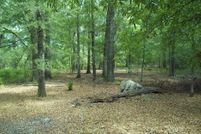 Land for sale in Early County, Georgia