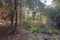 Undeveloped Land for sale in Baldwin County, Alabama