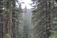 Undeveloped Land for sale in Plumas County, California