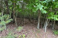Land for sale in Carroll County, Virginia