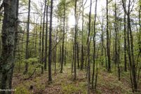 Timberland Property for sale in Berkshire County, Massachusetts