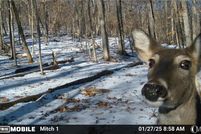 Waterfront Property for sale in Jefferson County, Missouri