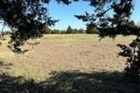 Undeveloped Land for sale in Grayson County, Texas