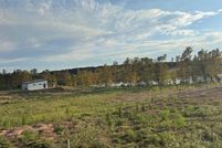 Land for sale in Sabine Parish, Louisiana