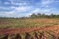 Lakefront Property for sale in Sabine Parish, Louisiana