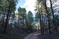Land for sale in San Miguel County, New Mexico
