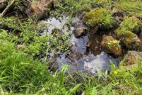 Farm and Ranch for sale in Colfax County, New Mexico