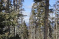 Land for sale in Colfax County, New Mexico