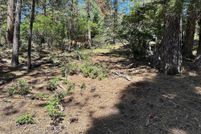 Land for sale in Colfax County, New Mexico