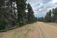 Undeveloped Land for sale in Colfax County, New Mexico