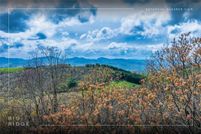 Land for sale in Jackson County, North Carolina