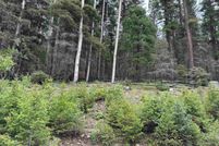 Undeveloped Land for sale in Colfax County, New Mexico