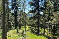 Land for sale in Colfax County, New Mexico