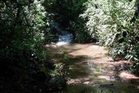 Land for sale in Transylvania County, North Carolina