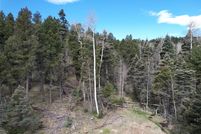 Homesite for sale in Colfax County, New Mexico