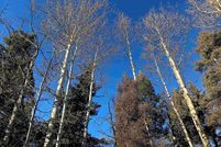 Land for sale in Colfax County, New Mexico