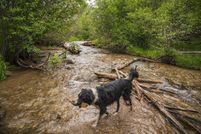Land for sale in Taos County, New Mexico