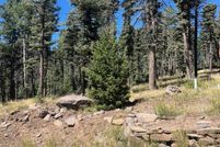 Land for sale in Colfax County, New Mexico