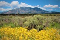 Land for sale in Taos County, New Mexico