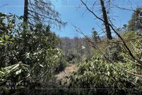Timberland Property for sale in Transylvania County, North Carolina